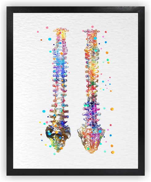 Dignovel Studios 11X14 Unframed Human Spine Bone Anatomy Medical Doctor Watercolor Art Print Poster