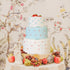 Kissbuty Wedding Cake Stencil Template, 5 Pcs Plastic Spray Floral Cake Decorating Tools (Diamond Quilted Grid Texture)