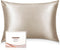 Adubor Mulberry Silk Pillowcase - 23 Momme 6A Grade Fibers | 900 Thread Count | Queen 20''x30'', Beige, 1PC