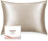 Adubor Mulberry Silk Pillowcase - 23 Momme 6A Grade Fibers | 900 Thread Count | Queen 20''x30'', Beige, 1PC