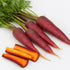 Cosmic Purple Carrot Seeds for Planting, 500+ Heirloom Seeds Per Packet, (Isla's