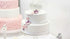 8" Round Cake Pan Set of 2