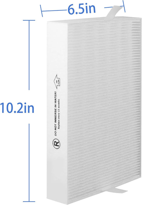 HPA5100B True HEPA Replacement Filter, Compatible with Honeywell Air Purifiers HPA5100 HPA5150 HPA3100, 2 R HEPA, 2 S