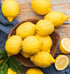 6 Planting-40 &10 40 40 &40 10 Types Mix Fruit Seeds for Lemon Cheery & Orange & Apple Passion Fruit & Blueberry Seeds