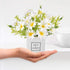 AIFUSI Artificial Flowers, Mini Silky White Daisy Decor in Vase for Home Indoor Centerpiece