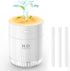 Portable Mini Humidifier for Plants, 500ml Cool Mist USB Rechargeable Humidifier with Night Light and Auto Shut-Off