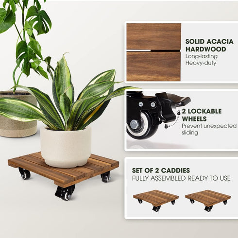 2pack 264 Lbs 12 Inch 360 Wood Plant Caddy With Wheels Heavy Duty, Capacity, Upgraded Acacia Hardwood Plant Dolly
