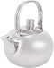Tea Kettle for Stovetop, Stainless Steel Teapot with Filter, Flat Bottom Induction Cooker Water Kettle (Silver 14CM)