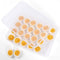 HANSGO Deviled Egg Containers with Lid, Tray Holder Carrier for 24 Eggs for Home Party Kitchen Supplies