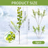 6 HUIANER Artificial Berries, Pcs Simulation Flowers Lifelike Greenberry with Stems Fake Fruit Greenberries
