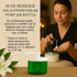 16oz (1, Royal Massage Refillable Pump Jar with Locking Dip Tube Dispenser BPA-Free Plastic Container for Massage Oils