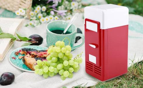 Mini Fridge, Portable Cooler and Warmer, LED USB Refrigerator for Drinks and Beverage Cans