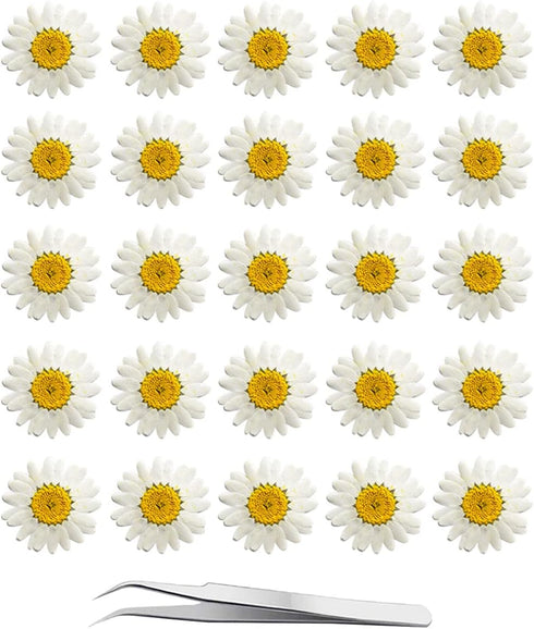 YouthBro 60Pcs White Dried Daisy Pressed Flowers Set for Resin DIY Jewelry, Candle, Soap, and Art Craft