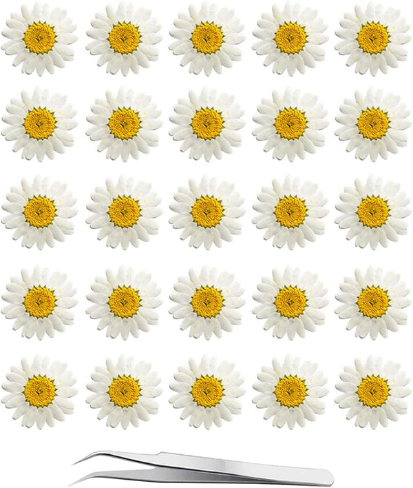 YouthBro 60Pcs White Dried Daisy Pressed Flowers Set for Resin DIY Jewelry, Candle, Soap, and Art Craft