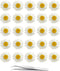 YouthBro 60Pcs White Dried Daisy Pressed Flowers Set for Resin DIY Jewelry, Candle, Soap, and Art Craft