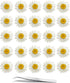 YouthBro 60Pcs White Dried Daisy Pressed Flowers Set for Resin DIY Jewelry, Candle, Soap, and Art Craft