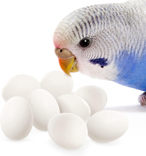 SunGrow Fake Wooden Eggs to Train Birds from Laying in The Nesting