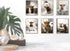 MINI ZOZI Cow Bathroom Decor 8x10, 6PCS Canvas Pictures Wall Decor Funny Highland Cow Prints Art