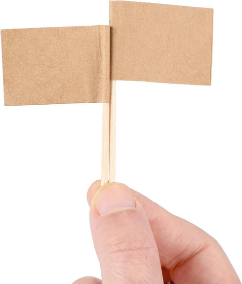 Pangda 100 Pieces Blank Toothpick Flags, Cheese Markers, Food Labels for Charcuterie Board Party Buffet