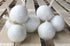 SeedsUA Seeds Onion White Queen Giant Heirloom Vegetable for Planting Non GMO