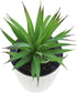 LJY 2 Pieces Realistic Artificial Faux Succulent Yucca Vera Small Plants Unpotted for Home Garden Decoration (Spring