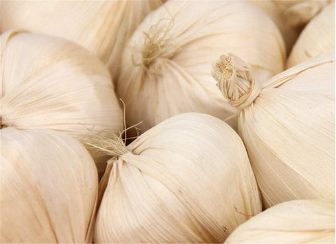 Zzooi 10PCS Artificial Lifelike Fake Garlic Faux Garlic White and Red Totall