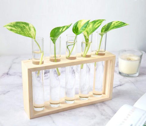 5 Mkono Wall Hanging Plant Propagation Station Tubes with Wooden Stand Desktop Plant Terrarium for Hydroponic Plants
