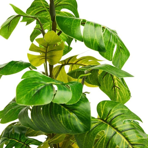 imagitarium by Petco Small Araceae Plant Terrarium Decor