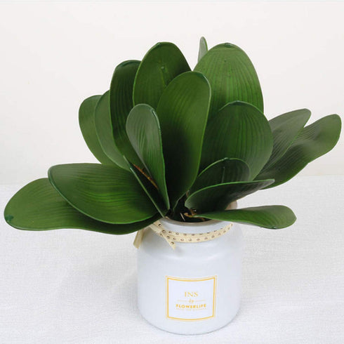 FagusHome 6 PCS Green Artificial Phalaenopsis Orchids Leaves, Faux Orchids Leaf 11 Inches