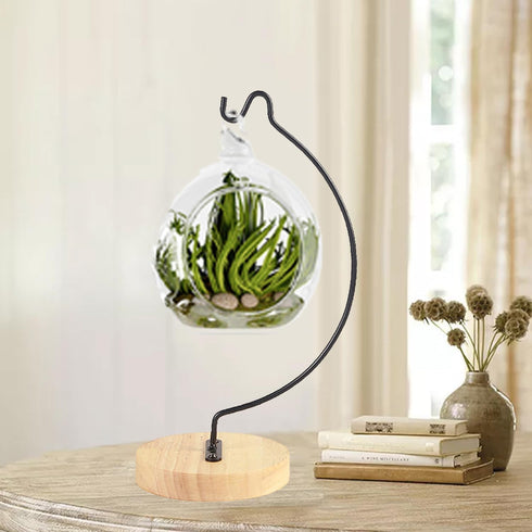 YY YEARCHY Semicircular Ornament Display Stand Aesthetic Air Plants Holder Terrariums Hanging Planter Stand Art Iron