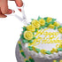 Stainless-Steel Cake Decor Baking Tools for Icing Flowers, 2 Flower Lifters and 4 Flower Nails