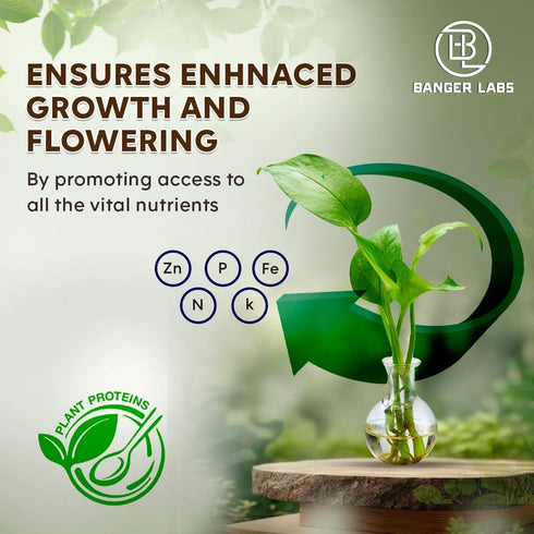 (1 Premium pH Up Solution - Corrects pH Imbalances, Maximizes Nutrient Absorption, Prevents Sickly Plants | Plant pH
