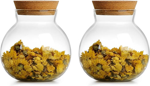 2PCS Airtight Spherical Glass Jar With Cork Lid - 17oz Candy Jar for Preserving and Storing Coffee, Spice, Beans,
