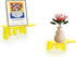 SetGame 2-Pack 7 Inch Album Acrylic Small Wall Shelves - Floating Shelf for Walls, Home Wall Display Ledges