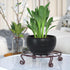 Yimobra Original Patented Plant Stand for Flower Pot, Heavy Duty Indoor Outdoor Metal Holder, Round Supports (Bronze)