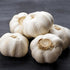 4 Bulbs Pack Bulbs Heirloom Hardneck Garlic for Planting - Music Garlic for Planting, Seed Garlic