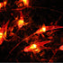 Dreamworth Lights,20ft 40 Red Chili String LED Chili String Lights Battery Operated Remote Contol Fairy Lights