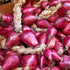 SeedsUA Seeds Red Shallot Onion Heirloom Vegetable for Planting Non GMO