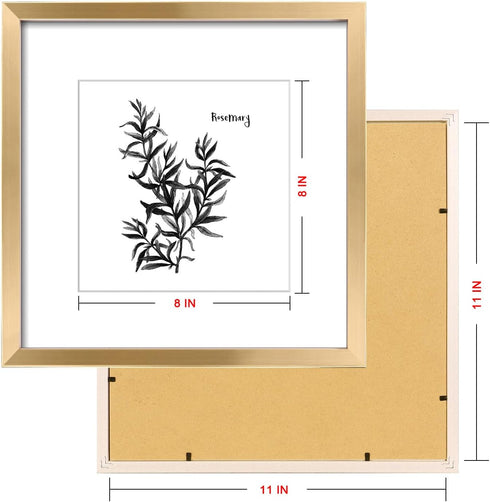 11x11inch Decor,Set 4 ArtbyHannah Gold Framed Wall Art with Herbs Plants Botanical Pictures in Gold Frames for Kitchen