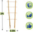 2FT 3 Pack, S2 24 Inch, Bamboo Trellis Natural Bamboo Plant Ladder Stakes Fan-Shaped Plant Support Stand for Orchid