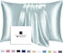 Ravmix 21momme Mulberry Silk Pillow Cases with Zipper, Soft Cool Pillow Cover for Beauty Sleep, 1PC(Queen 20"x30", Aqua