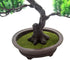 KOET Artificial Bonsai Pine Tree, 11 Inch Faux Potted Plant for Desk Display, Japanese Cedar Bonsai Plant for Home,