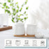 HAOTOP 2 Pack Ceramic Sugar Bowl with Tray, Spoon and Lid, Porcelain Jar for Sugar, Pepper, Coffee, Spice, 12 Ounces