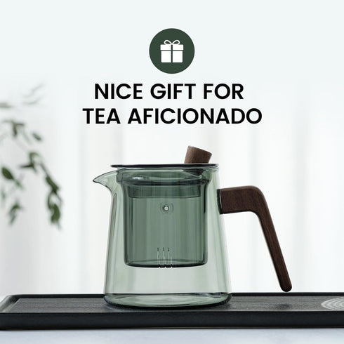 Glass Teapot with Removable Glass Infuser, 17oz/500ml Teapot Kettle for Blooming and Loose Leaf Tea Maker