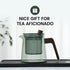 Glass Teapot with Removable Glass Infuser, 17oz/500ml Teapot Kettle for Blooming and Loose Leaf Tea Maker