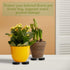 Yesland 30 Pack Rubber Pot Feet - Invisible Plant Risers 1.8 Inch Non-slip Solid Rubber for Patios, Decks, Gardens