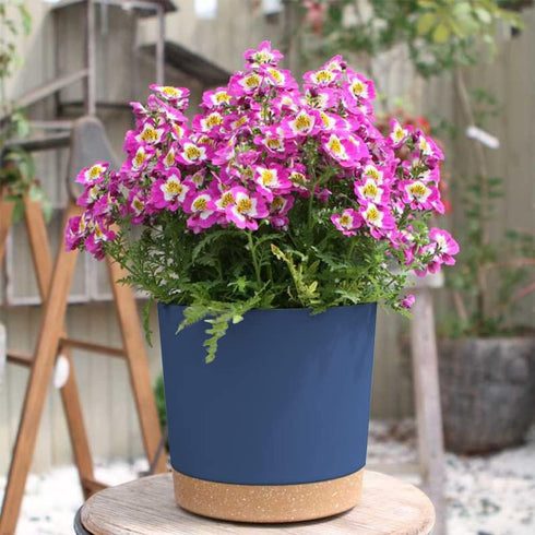 ZMTECH Plant Pots, Set of 6 Self Watering 6.5'' Plastic Planters with Drainage Hole and Saucer, Blue