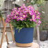 ZMTECH Plant Pots, Set of 6 Self Watering 6.5'' Plastic Planters with Drainage Hole and Saucer, Blue