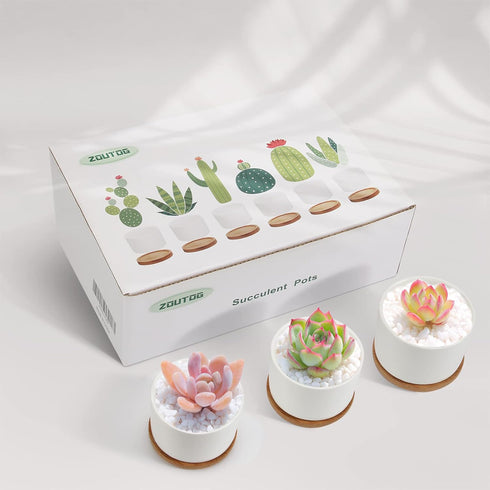 ZOUTOG Mini Succulent Pots, White 3.15 inch Ceramic Flower Planter Pot with Bamboo Tray, Pack of 6 - Plants Not Included