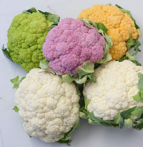 NIKA SEEDS 200 Seeds Vegetable Cauliflower Cabbage Mix - Seeds